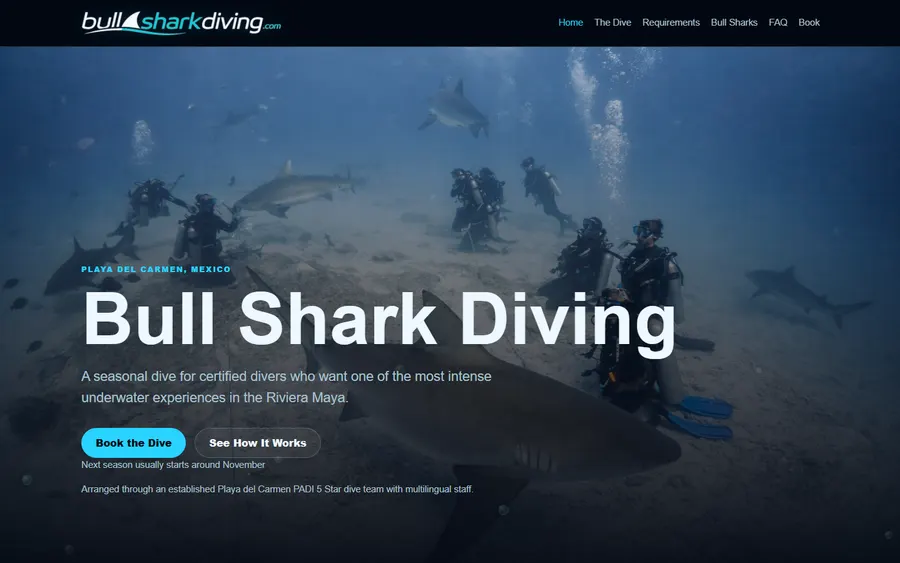 Bull Shark Diving website homepage screenshot